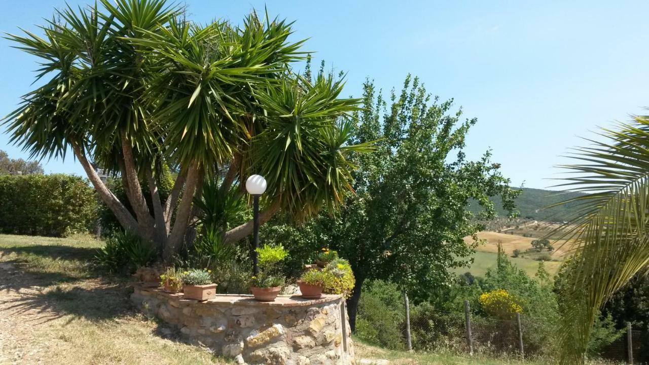 Podere Mammoleta Fattoria la Marsiliana Buitenkant foto