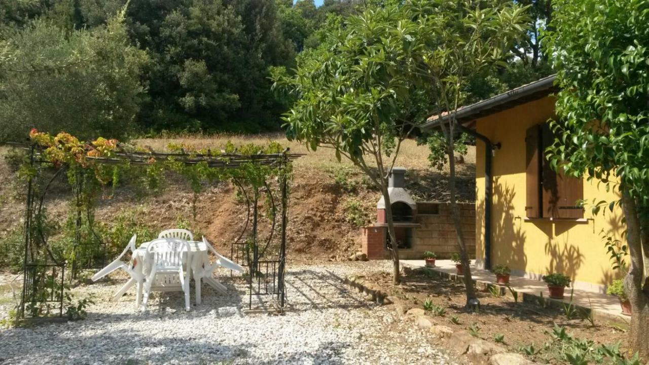 Podere Mammoleta Fattoria la Marsiliana Buitenkant foto